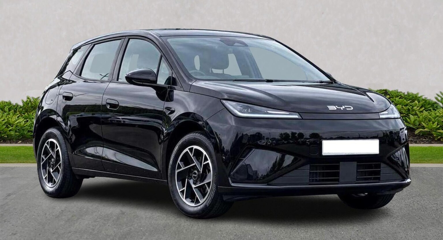 BYD DOLPHIN G HATCHBACK Dolphin G 1.5 Dm-I Active 5Dr Auto Hatchback