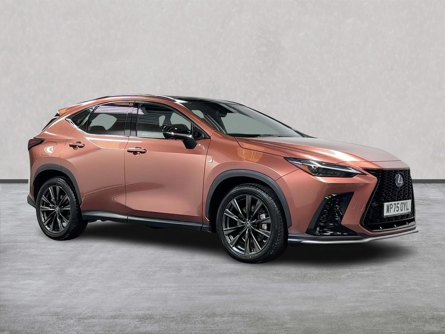 2025 Lexus NX