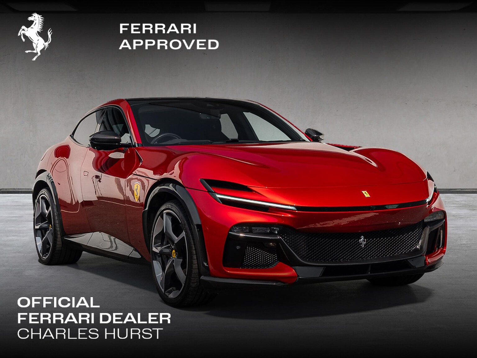 FERRARI PUROSANGUE 6.5 V12