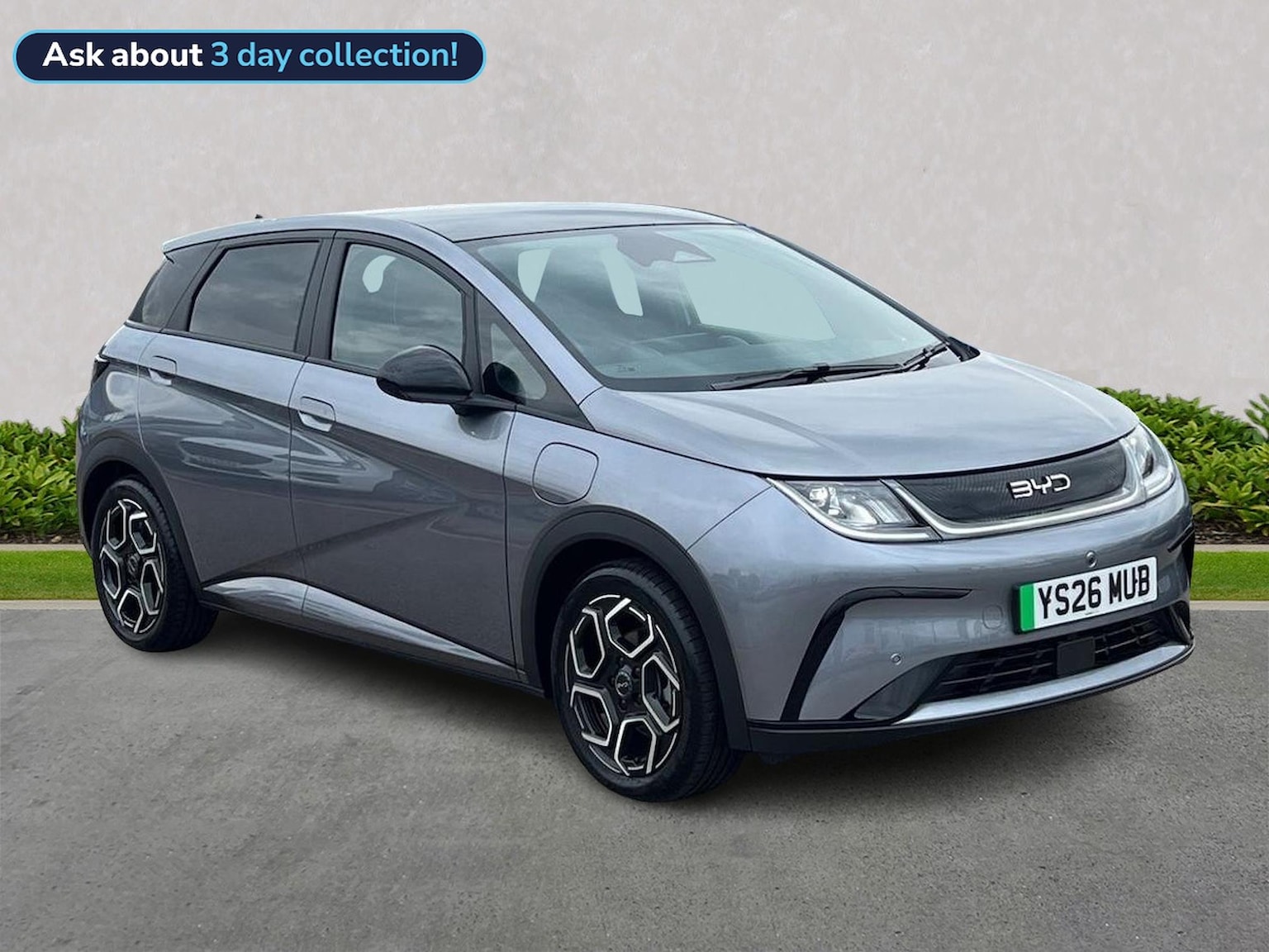2026 Byd Dolphin