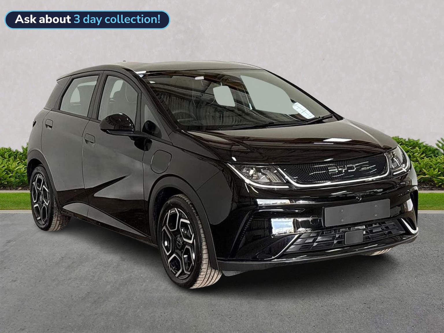 Byd Dolphin